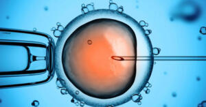 Lab-Blog-IVF-2